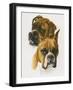 Boxer-Barbara Keith-Framed Giclee Print