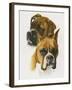 Boxer-Barbara Keith-Framed Giclee Print