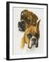 Boxer-Barbara Keith-Framed Giclee Print