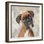 Boxer-Keri Rodgers-Framed Art Print