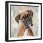 Boxer-Keri Rodgers-Framed Art Print