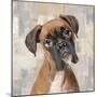 Boxer-Keri Rodgers-Mounted Art Print