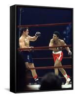 Boxers Cassius Clay and Oscar Bonavena Fighting at Madison Square Garden-Bill Ray-Framed Stretched Canvas