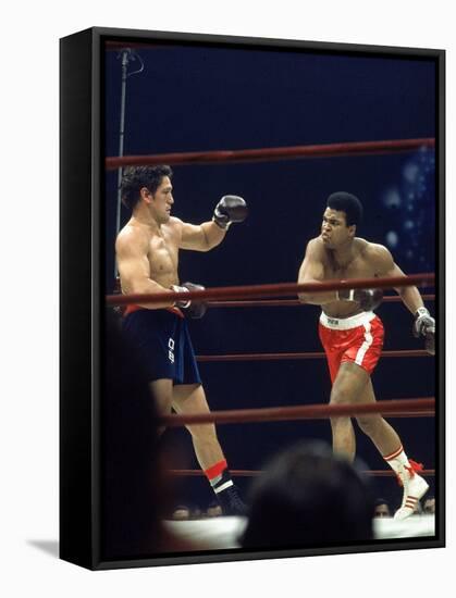 Boxers Cassius Clay and Oscar Bonavena Fighting at Madison Square Garden-Bill Ray-Framed Stretched Canvas