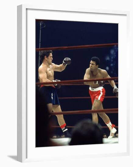 Boxers Cassius Clay and Oscar Bonavena Fighting at Madison Square Garden-Bill Ray-Framed Premium Photographic Print