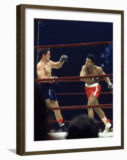 Boxers Cassius Clay and Oscar Bonavena Fighting at Madison Square Garden-Bill Ray-Framed Premium Photographic Print