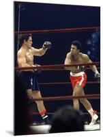 Boxers Cassius Clay and Oscar Bonavena Fighting at Madison Square Garden-Bill Ray-Mounted Premium Photographic Print