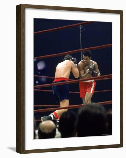 Boxers Cassius Clay and Oscar Bonavena Fighting at Madison Square Garden-Bill Ray-Framed Premium Photographic Print