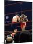 Boxers Cassius Clay and Oscar Bonavena Fighting at Madison Square Garden-Bill Ray-Mounted Premium Photographic Print