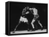Boxers Competing in Golden Gloves Bout, 1940-Gjon Mili-Framed Stretched Canvas