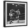 Boxers Ray Robinson and Carmen Basilio Fighting in the Ring-George Silk-Framed Premium Photographic Print