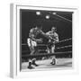 Boxers Ray Robinson and Carmen Basilio Fighting in the Ring-George Silk-Framed Premium Photographic Print