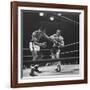 Boxers Ray Robinson and Carmen Basilio Fighting in the Ring-George Silk-Framed Premium Photographic Print