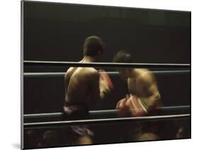 Boxers Seen from Between the Ropes-null-Mounted Premium Photographic Print