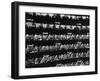 Boxes at LaScala Opera House on Opening Night-Alfred Eisenstaedt-Framed Photographic Print