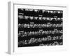 Boxes at LaScala Opera House on Opening Night-Alfred Eisenstaedt-Framed Photographic Print