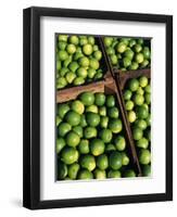 Boxes of Limes, Oxkutzcab Market, Yucatan, Mexico-Paul Harris-Framed Photographic Print