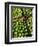 Boxes of Limes, Oxkutzcab Market, Yucatan, Mexico-Paul Harris-Framed Photographic Print