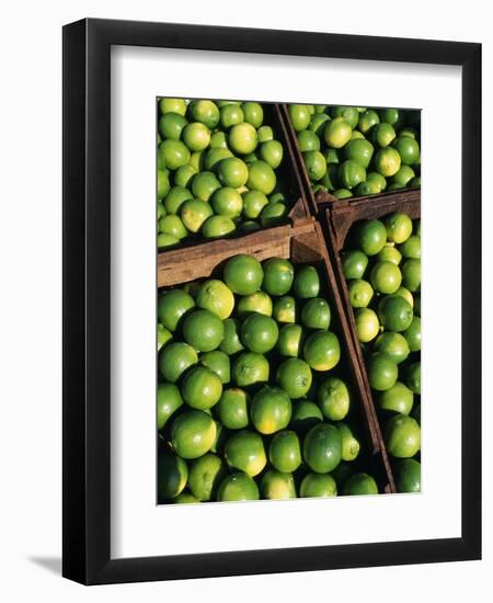 Boxes of Limes, Oxkutzcab Market, Yucatan, Mexico-Paul Harris-Framed Photographic Print