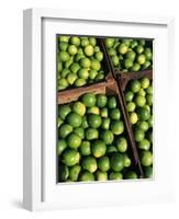 Boxes of Limes, Oxkutzcab Market, Yucatan, Mexico-Paul Harris-Framed Photographic Print