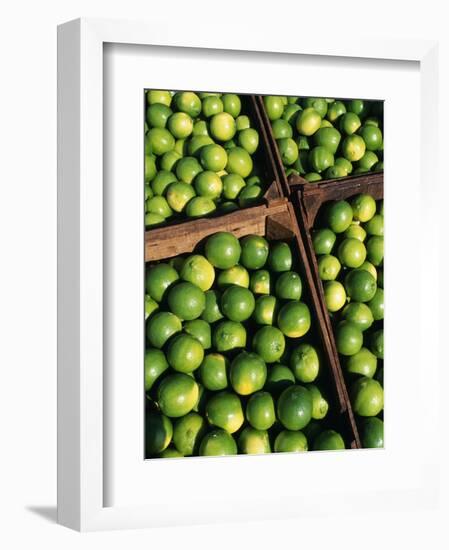 Boxes of Limes, Oxkutzcab Market, Yucatan, Mexico-Paul Harris-Framed Photographic Print