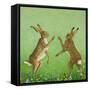 Boxing Clever-Pat Scott-Framed Stretched Canvas