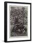 Boxing Day at the Zoo, a Cut from the Joint-Charles Paul Renouard-Framed Giclee Print