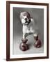 Boxing Dog-Rachael Hale-Framed Art Print