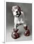 Boxing Dog-Rachael Hale-Framed Art Print