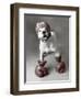 Boxing Dog-Rachael Hale-Framed Art Print