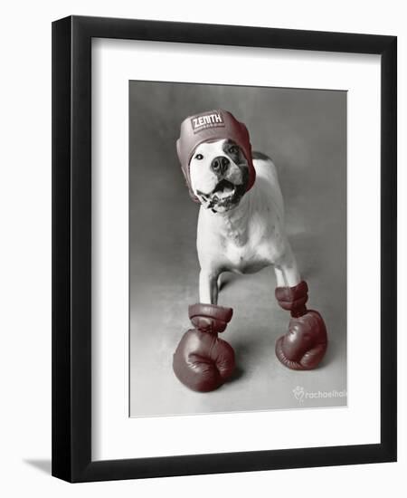 Boxing Dog-Rachael Hale-Framed Art Print