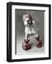 Boxing Dog-Rachael Hale-Framed Art Print