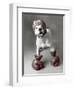 Boxing Dog-Rachael Hale-Framed Art Print