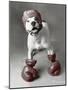 Boxing Dog-Rachael Hale-Mounted Art Print