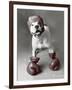 Boxing Dog-Rachael Hale-Framed Art Print