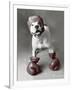 Boxing Dog-Rachael Hale-Framed Art Print