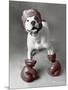 Boxing Dog-Rachael Hale-Mounted Art Print