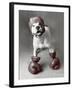 Boxing Dog-Rachael Hale-Framed Art Print