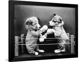 Boxing Dogs-null-Framed Photographic Print