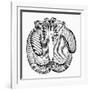 Boxing Gloves, c1900-null-Framed Giclee Print