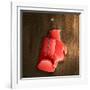 Boxing Gloves on Wall-Macrovector-Framed Photographic Print