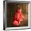 Boxing Gloves on Wall-Macrovector-Framed Photographic Print