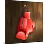 Boxing Gloves on Wall-Macrovector-Mounted Photographic Print