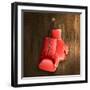 Boxing Gloves on Wall-Macrovector-Framed Photographic Print