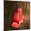 Boxing Gloves on Wall-Macrovector-Mounted Photographic Print