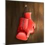 Boxing Gloves on Wall-Macrovector-Mounted Premium Photographic Print