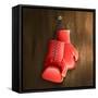 Boxing Gloves on Wall-Macrovector-Framed Stretched Canvas