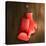 Boxing Gloves on Wall-Macrovector-Stretched Canvas