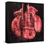 Boxing Gloves - Red-null-Framed Stretched Canvas