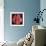 Boxing Gloves - Red-null-Framed Giclee Print displayed on a wall